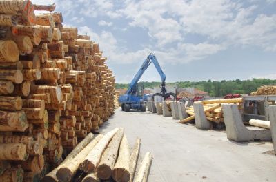 The new line for measuring, debarking and sorting log - Image 1